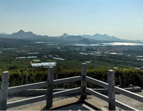 平度大澤山葡萄園引進(jìn)萊恩德土壤肥料檢測(cè)儀， 輕松掌握土壤營(yíng)養(yǎng)